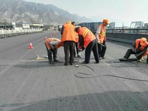 合作道路桥梁病害治理